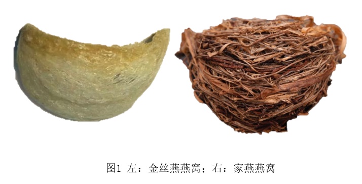 燕窝究竟是什么？燕窝选购误区了解一下